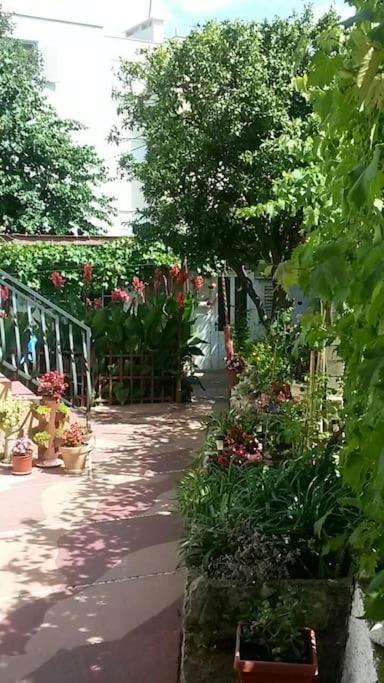 Dubrovnik Quiet Center Apartment Misur ภายนอก รูปภาพ